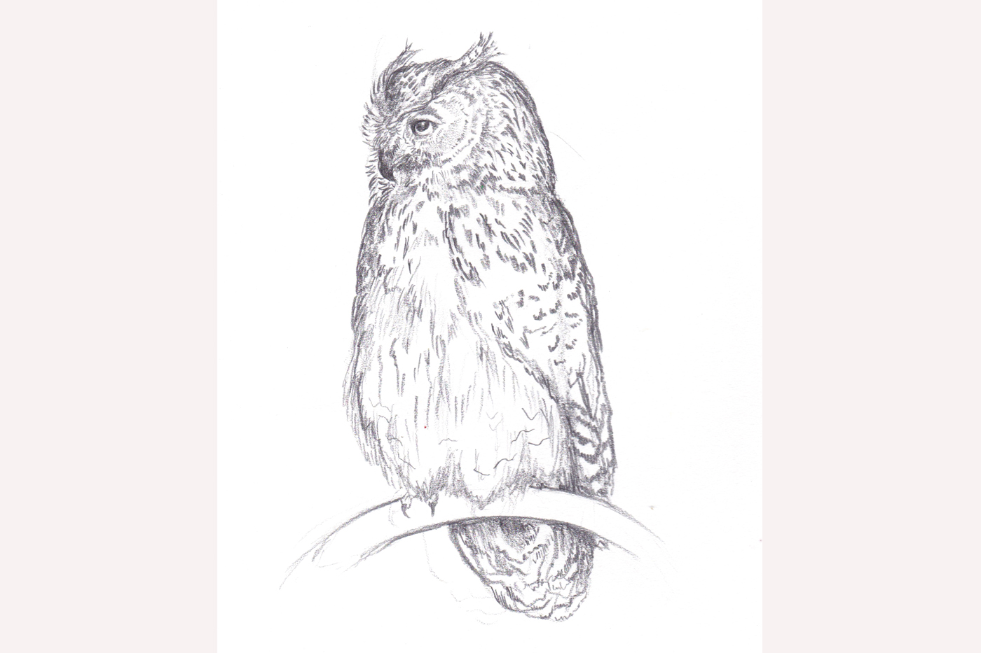 OwlSketch