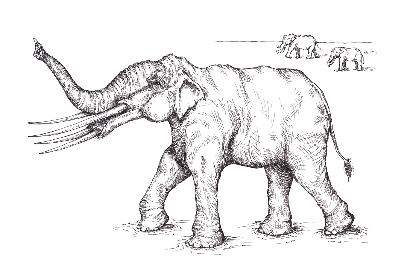 PrehistoricElephant1