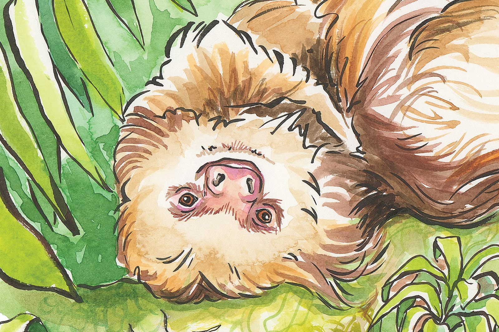 sloth2